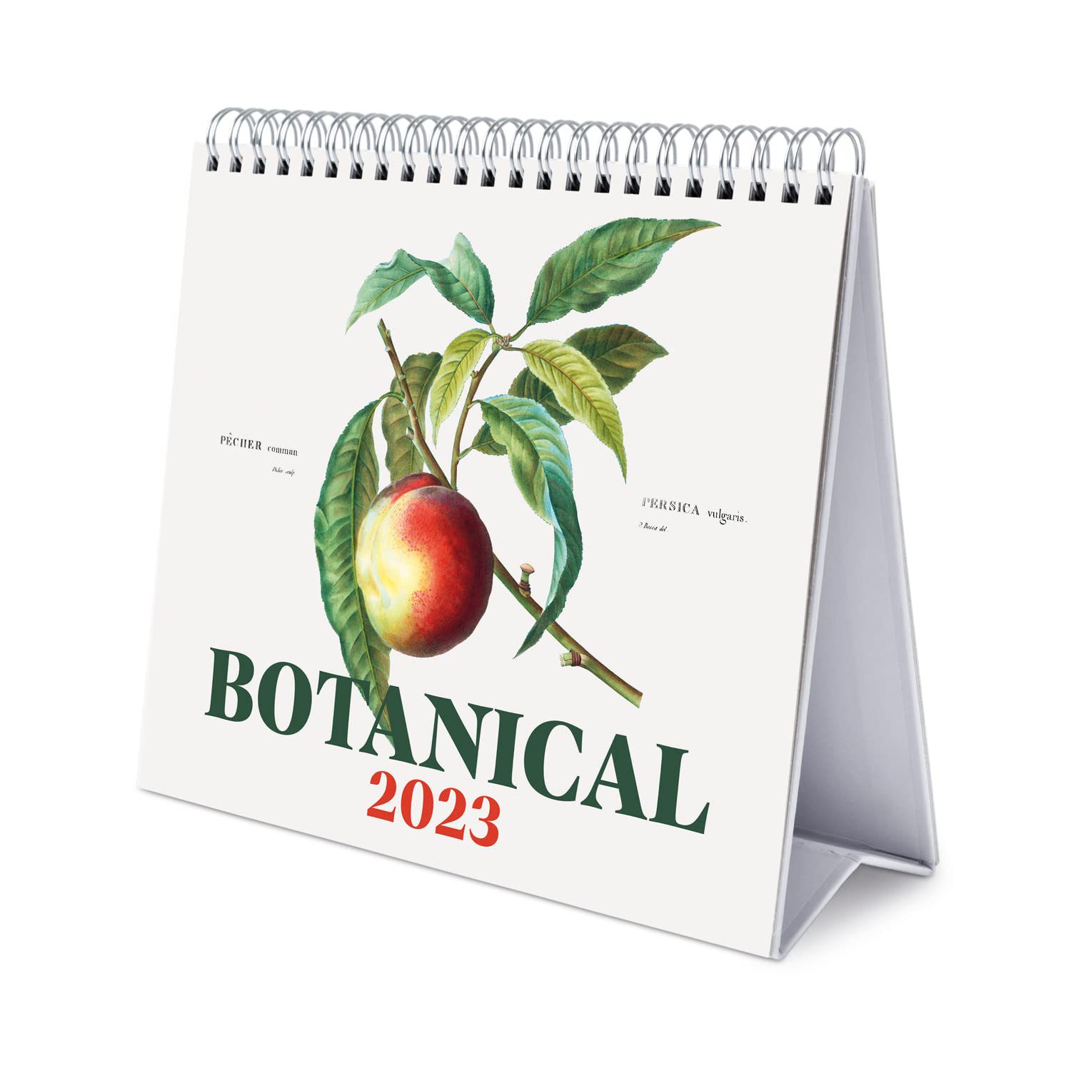Grupo Erik Botanical Calendar 2023 - Desktop Calendar 2023-7 x 8 inches / 18 x 20 cm - Vintage Desk Calendar 2023-12 Month 2023 Planner - Cute Stationery