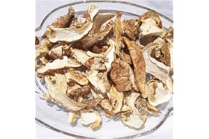 OREGON MUSHROOMS Dried Matsutake Mushrooms 4 oz