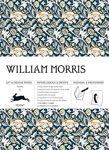 Amazon.com: A Vice for Voices: Reading Emily Dickinson's