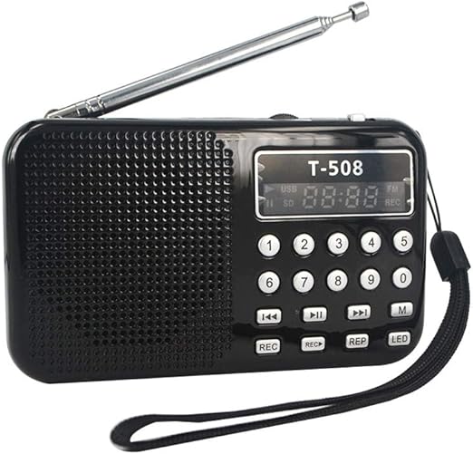 portable radio with bluetooth output