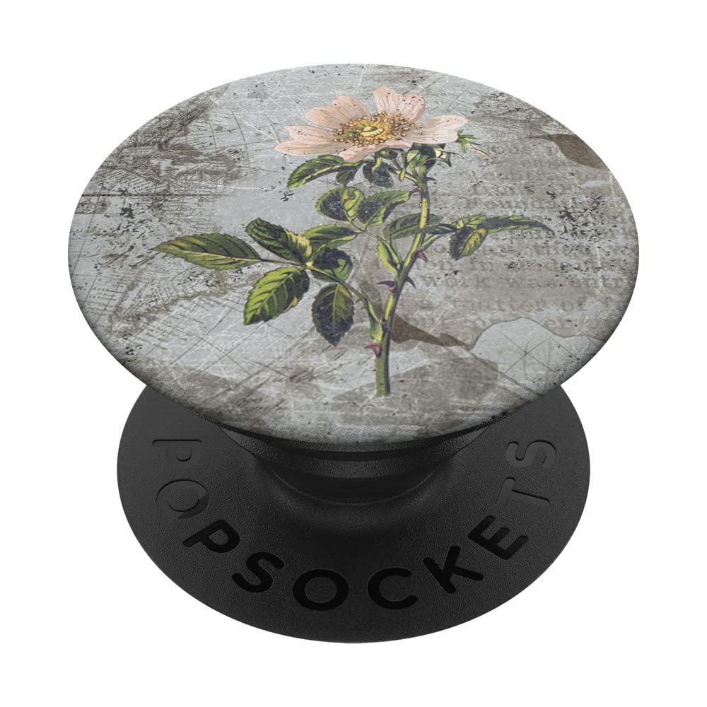 Aesthetic Floral Vintage Cottagecore White Anemone Flower PopSockets Swappable PopGrip