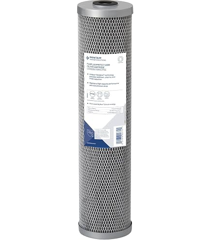 Amazon.com: Pentair Pentek FloPlus-10 Carbon Water Filter, 10-Inch