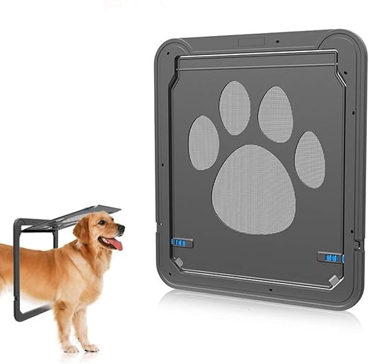 accesorios perros amazon