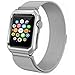 Apple Watch Band, Rerii Magnetic Closure, Milanese Loop, Mesh Stainless Steel, Replacement Wrist Band with Metal Protective Case for Apple Watch Series 3 / 2 / 1, Sport & Edition 42mm