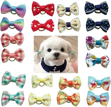 dog hair accessories