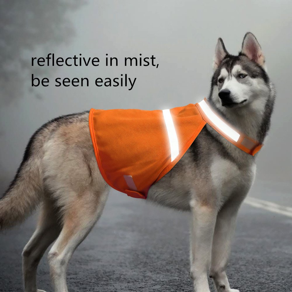 Clan_X Reflective Dog Vest, High-Visible Lightweight Dog Safety Cloth to Keep Dogs Safe, Adjustable Sizes to Fit Small, Medium, Large Breeds for Walking, Hunting, Jogging, Training. (L, Orange)