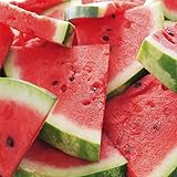 WATERMELON PATCH FRAGRANCE OIL - 4 OZ - FOR CANDLE & SOAP MAKING BY VIRGINIA CANDLE SUPPLY - FREE S&H IN USA
