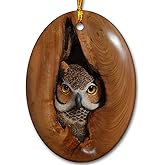 Sportyzen Owl in Nest Christmas Ceramic Oval Ornament, Owl Hanging Ornament, Keepsake Gifts for Grandparents, Parents, Kids, Neighbors, Friends Ornaments for Christmas Tree