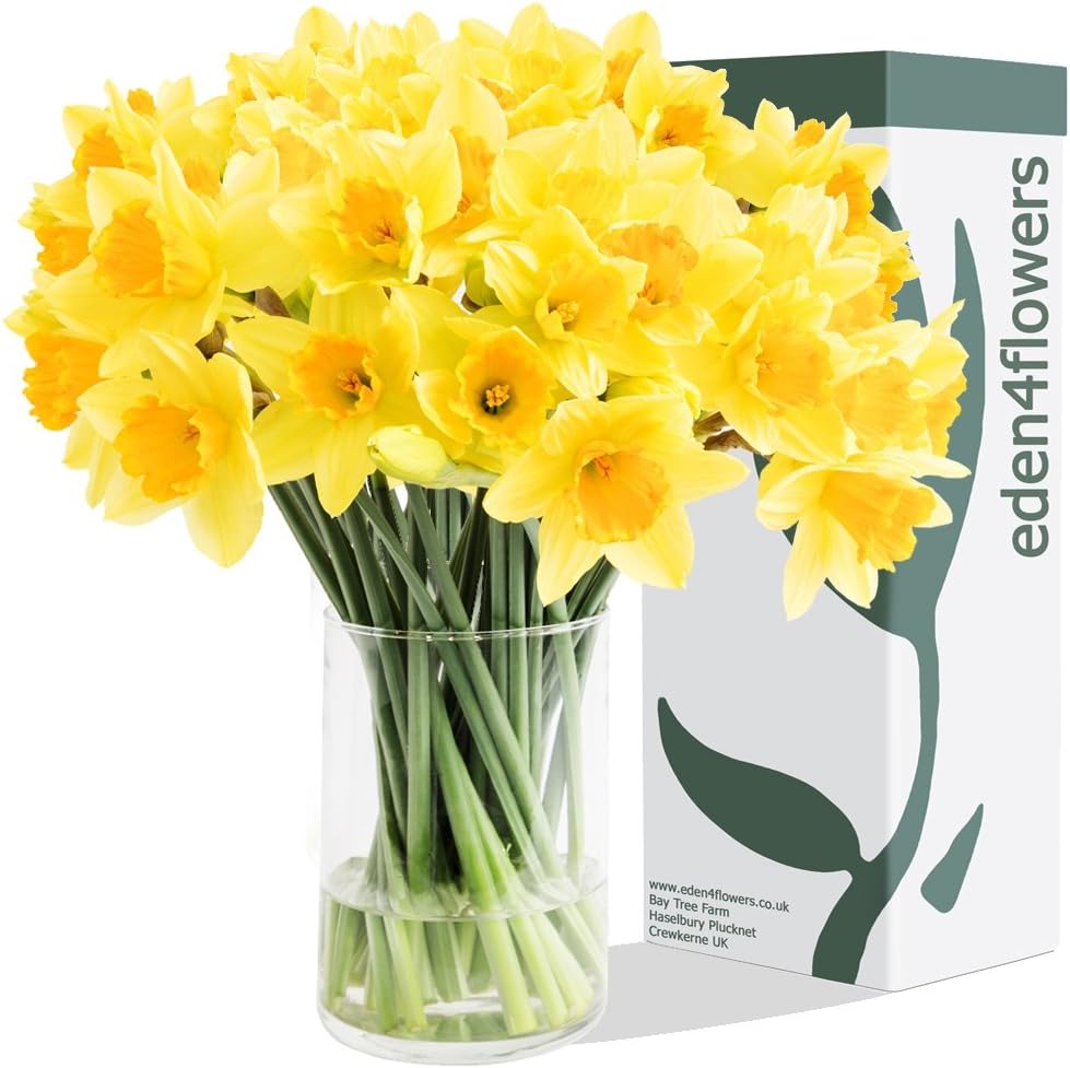 Eden4flowers Spring Daffodils Bouquets 100 stems from our Simple