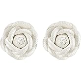 M METERXITY Decorative Rose Shoe Clips, Faux Leather Removable Fashion Flower Shoe Clips Buckle for Women Dress/Shoes/Heel