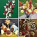 Supla 30 Pcs Assorted Natural Pine Cones Frosted Gold Red Pine Cones Ornaments Dried Real Preserved Pine Cones 2