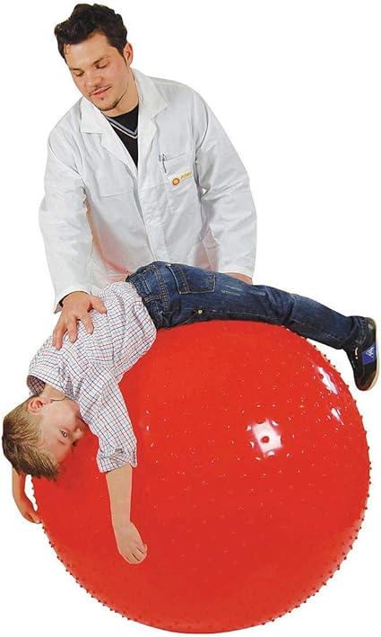 Featured image of post Gymnic Physio Ball