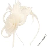 AMCAMI Fascinators Hats with Feather for Women 2026 Derby Hats Small Tea Party Hat with Headband