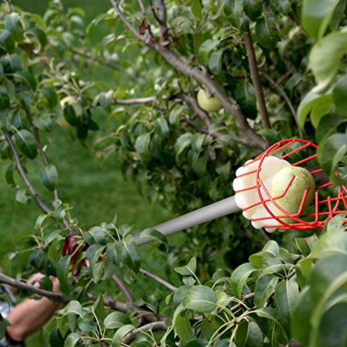Ohuhu Fruit Picker - Image 3