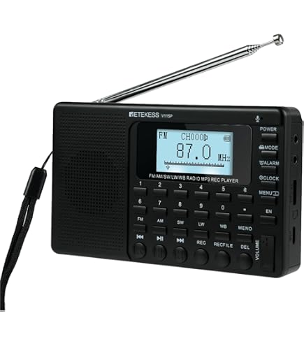 Amazon.com: QODOSEN DX-286 Portable Radio, with TEF6686 Automotive