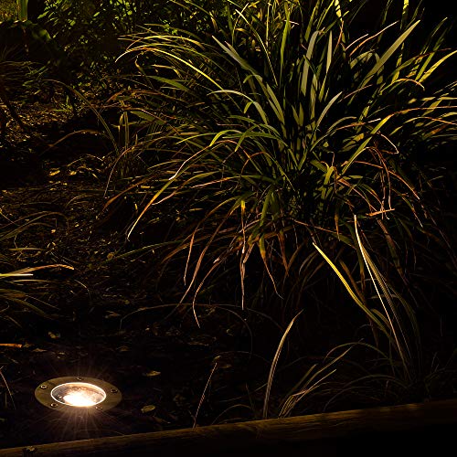 Lumen Logic 12V Brass InGround Well Light (Open Top) with 5W 2700K