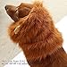 Lion Mane for Dog,Neckerchief, Pet Festival Halloween Party Fancy Lion Hair Dog Clothes Dress with Ears(Neck perimeter 35.1in, Adjustable,Light Brown )