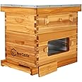 BeeCastle 8 Frame Langstroth Beehive, Beeswaxed Coated Starter Kit with Beehive Frames and Waxed Foundations (1 Deep Box & 1 Medium Super)