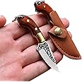 SZHOWORLD Ultra Small Fixed Blade Knife, 1.57 inch 5Cr Stainless Steel Blade with Brass+Colored Wood Handle, Mini Knife/Box Cutter with Leather Sheath for EDC Gift Collection Cutting