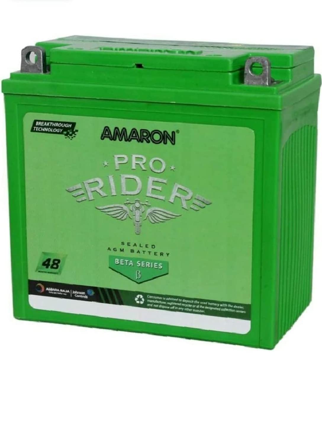 thunderbird 350 battery amaron
