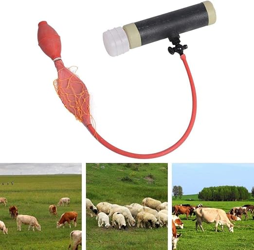 Kit Collecte Sperme Pour Chèvres Et Moutons - 5 Pièces, Faux Vagin, Matériel Insémination Artificielle, Ferme
