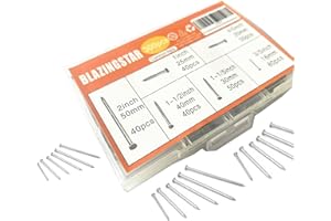 BLAZINGSTAR 6 Sizes Hardware Nails Assortment Kit, Silver Galvanized Nails, Small Nails, Pin Nails, Finishing Nails, Nails for Hanging, Wall Nails for Hanging Pictures 300PCS