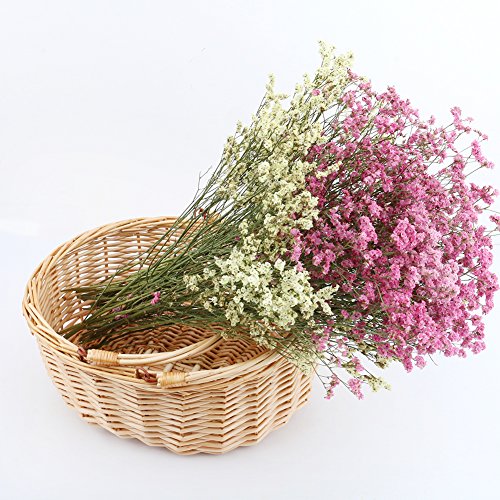 MEIEM Wicker Picnic Basket Hamper with Double Folding Handles, Oval Storage Basket with Handles. (Natural)