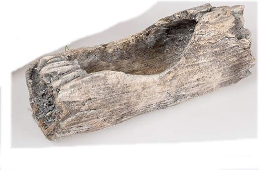 Schoner Pflanzkubel Baumstamm Aus Polyresin Blumentopf Pflanzgefass Ast Design Amazon De Kuche Haushalt