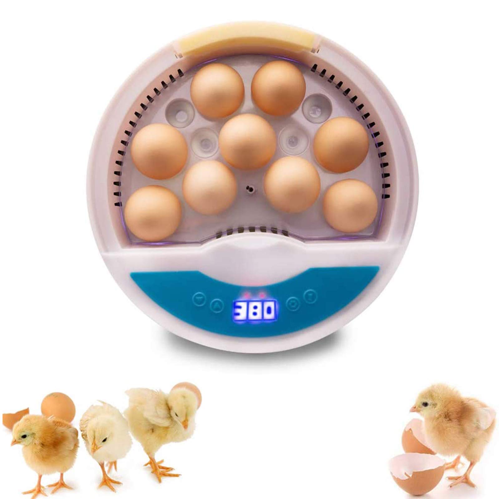 9 Egg Incubator, Household Egg Hatcher Temperature Controllable Mini Chicken, Duck, Birds, Quail Hat