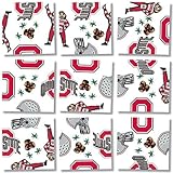 b. dazzle Ohio State University Buckeyes Scramble Squares Puzzle