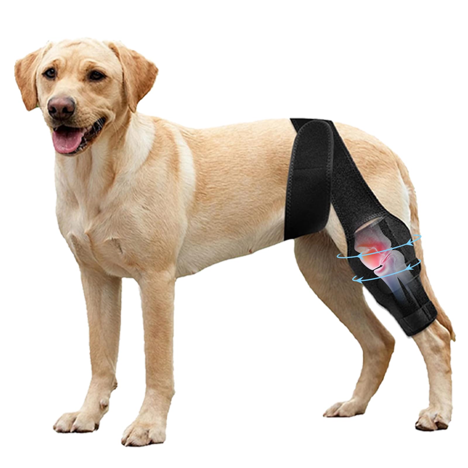Photo 1 of Dog Knee Brace for Torn Acl Hind Leg, Relieves Ligament Injury and Joint Pain, Adjustable Leg Support Bracket for Warmth and Support (XS)
