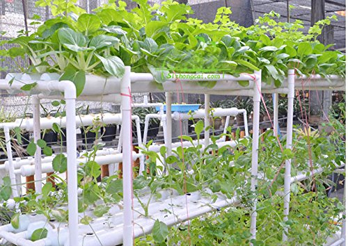 Hydroponic Site Grow Kit 90 Site System with Nest Basket Water Pump and Sponge - Image 5