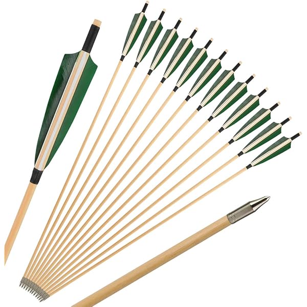 12-Pack Carbon Hunting Arrows - Spine 600 With Turkey Feathers For Traditional & Compound Bows