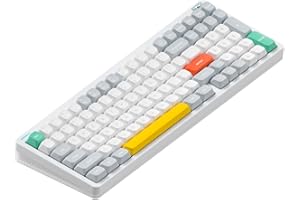 NuPhy Halo96 V2 Wireless Keyboard,Gasket Structure,96% Hot Swappable Gaming Keyboard, 99 Kyes RGB Backlit Mechanical Keyboard