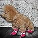 Royal wise Anti-Slip Dog Boots Pet Dog Cat Shoes Soft Stockings for Doggie 4PCS (S, SprRose)