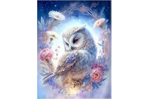 ENIREF Owl Stamped Cross Stitch Kits for Adults, Animals Counted Cross Stitch Kits for Beginners, Needlepoint Cross-Stitch Patterns Embroidery Kits Arts and Crafts for Home Decor 12×16 Inch