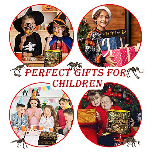 Ausgrabungsset für Kinder, MUSCCCM Dino Spielzeug, Dinosaurier Dig Kit 3D-Skelett Dinosaur Modell Dino Ausgrabungsset… – Bild 8