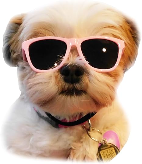 goggles for dogs amazon