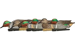 AVIAN-X Avian X Topflight Green-Winged Teal Decoys, Realistic Floating Duck Decoys for Hunting, Weight-Forward Swim Keel