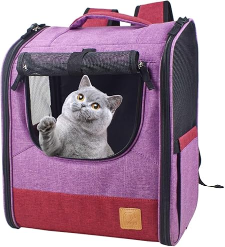 cat carrier for 15 lb cat