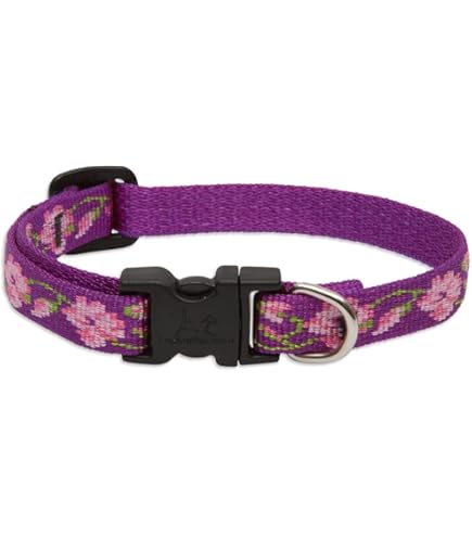 LupinePet Lollipop Hundeleine – 1,8 M Mit Gepolstertem Griff, Für Kleine Hunde, Viele Muster