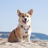 PoyPet No Pull Dog Harness Reflective Front Back Attachments Medium Beige view 2
