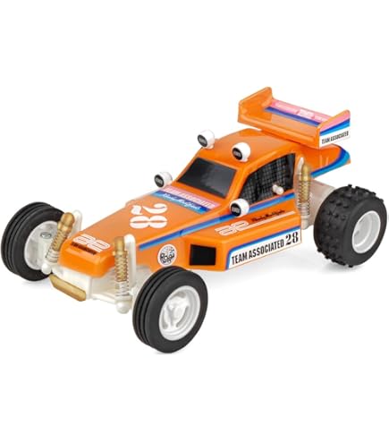 Amazon.com: Team Associated PRO2 LT10SW Ryan Beat RTR, ASC70031