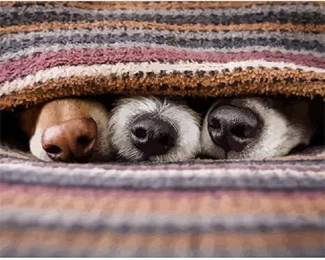 Amazon Co Jp Lzhlmcl ナンバーキットでペイント 犬の鼻の写真番号別動物油絵キットアクリル絵の具壁アート手描きの家の装飾diyギフト ホーム キッチン