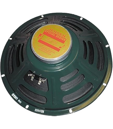 Amazon.com: Jensen Vintage P12R8 12-Inch Alnico Speaker, 8 ohm
