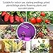 Grow Light, 20W 40 LED Bulbs Auto ON/OFF Plant Grow Lamp Dual Head Timing Grow Lights for Indoor Plants Seedlings with Red/Blue Spectrum Adjustable Gooseneck 3/6/12H Timer 5 Dimmable Levels
