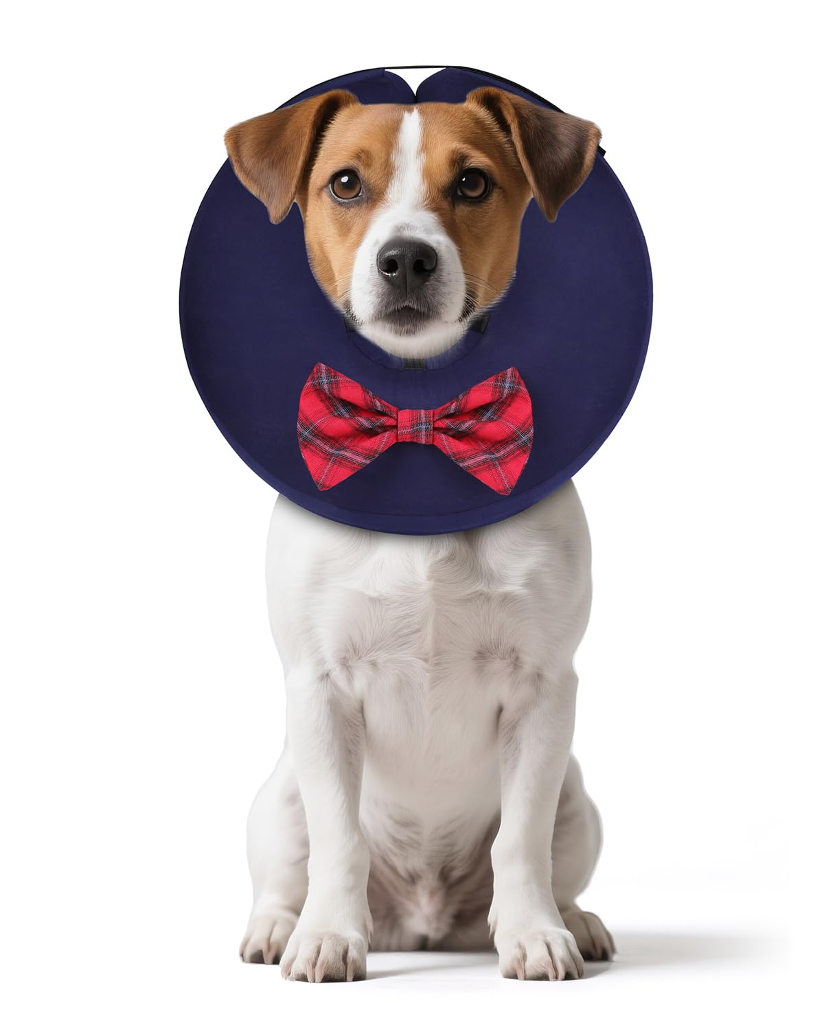 Photo 1 of MIDOG Dog Cone Collar for Large Medium Dogs, Soft Inflatable Dog Cone Alternative After Surgery, Adjustable Protective Recovery Cone - Alternative E Collar Does Not Block Vision (Bow Tie,S)