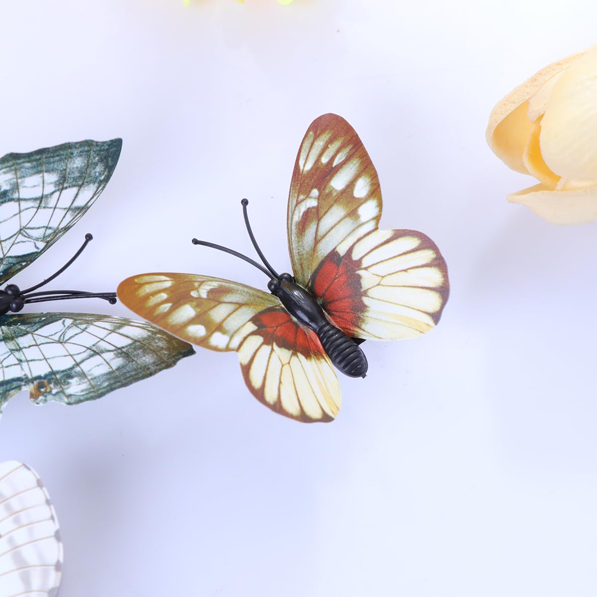 View 3