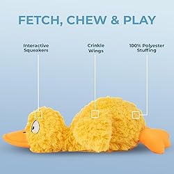 Best Pet Supplies Interactive Squeaky Dog Chew