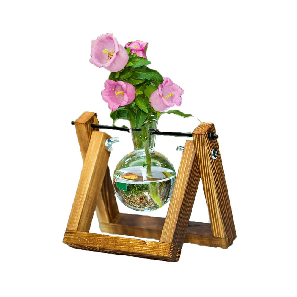 zalati Plant Terrarium Plant Propagation Station with Wood Rack for Hydroponics Home Garden Office Decoration - 1 Pot